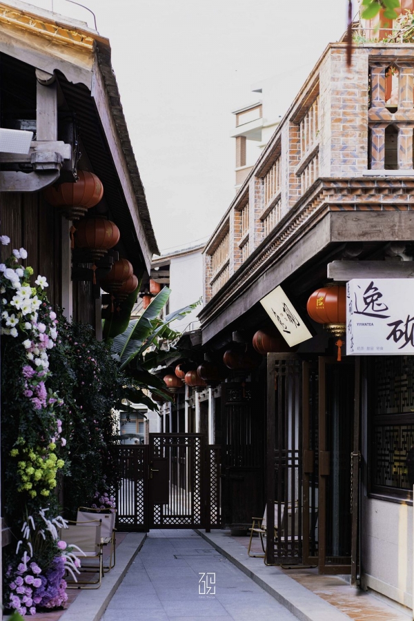 綠野仙蹤-照片標題